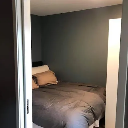 Nordisk Moderne Med Parkering *